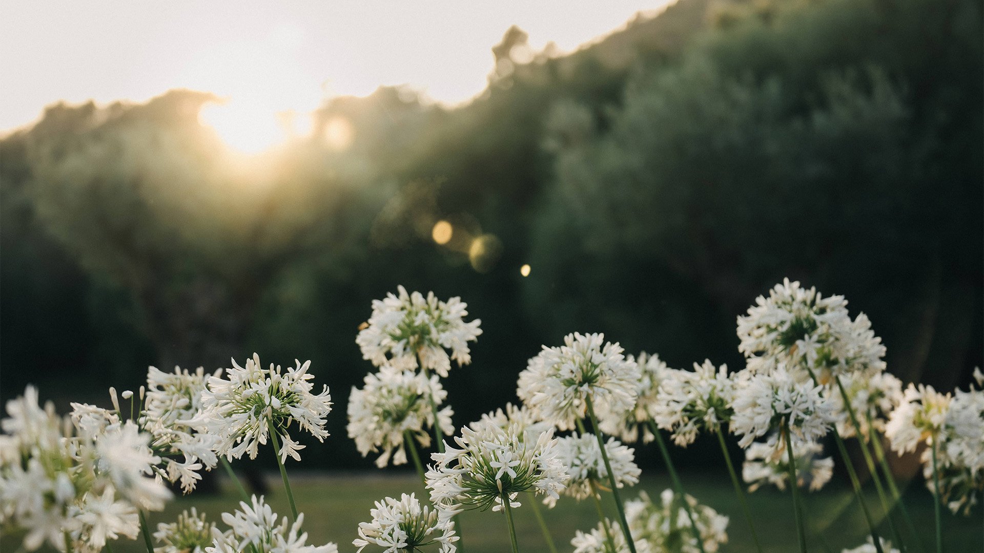 1825/VISUELS CONTENU/CARTE_CADEAU/ESRACO-Soulmate-Nature-1-141.jpg